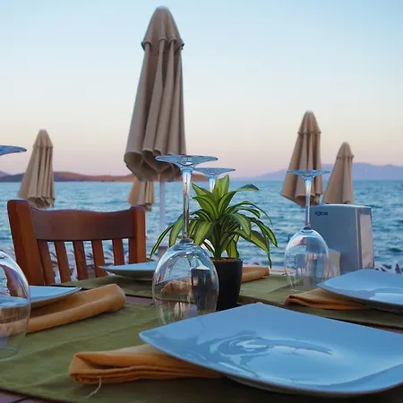 Zest Exclusive & 3* Ortakent