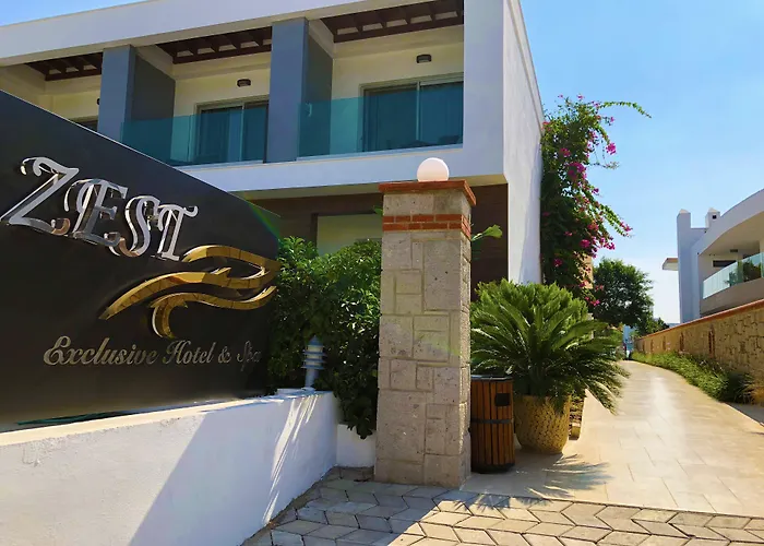 Zest Exclusive &