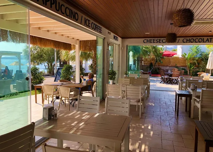 Zest Exclusive & Ortakent