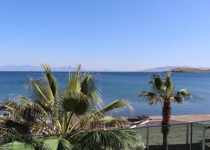 Zest Exclusive & 3* Ortakent