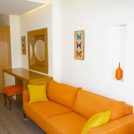 Zest Exclusive & אורטקנט