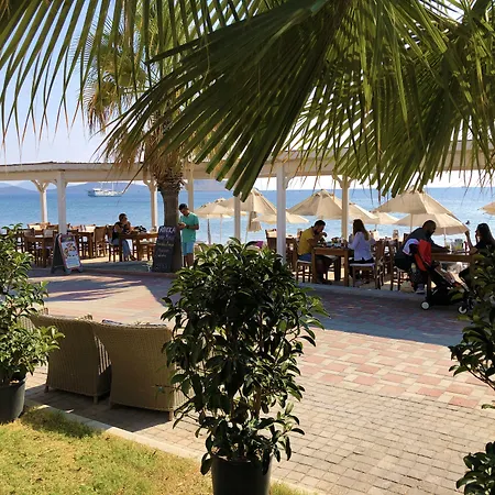 Zest Exclusive & Hotell