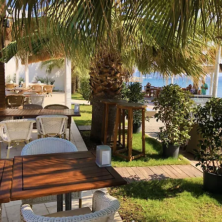 Zest Exclusive & Hotell Ortakent