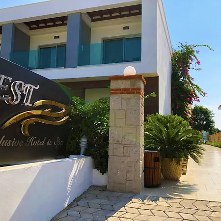 Zest Exclusive &