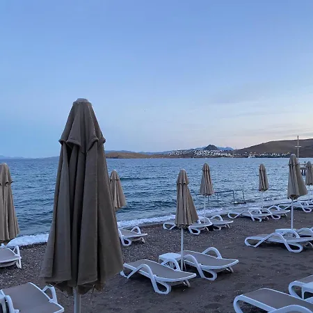 Zest Exclusive & Hotell