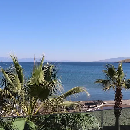 Zest Exclusive & 3* אורטקנט