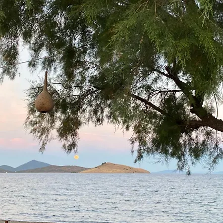 Zest Exclusive & Ortakent