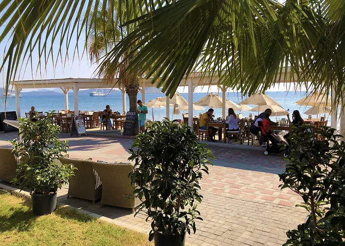 Zest Exclusive & Отель