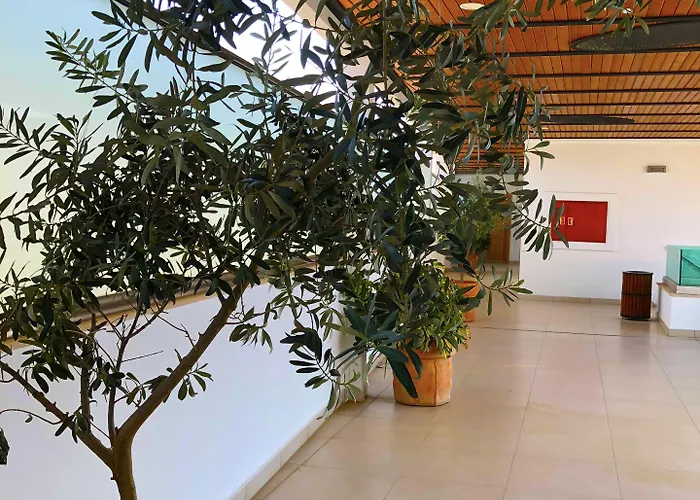 Zest Exclusive & Otel 3*