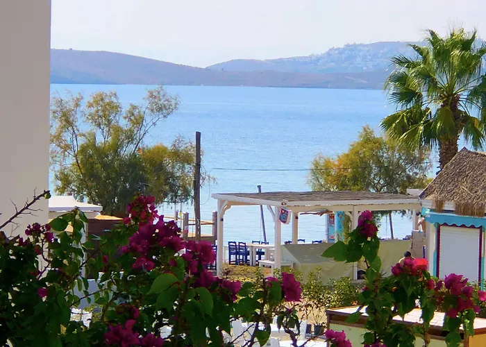 Otel Zest Exclusive &