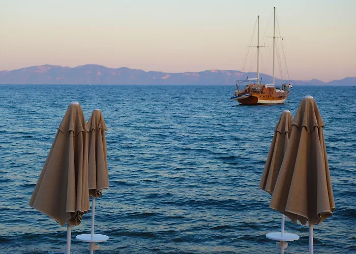 Zest Exclusive & Отель Ортакент