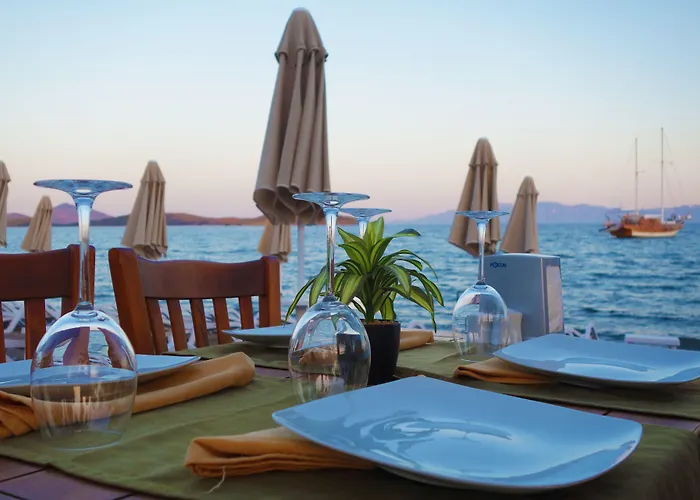 Otel Zest Exclusive & Ortakent