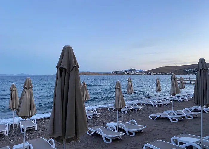 Zest Exclusive & Otel