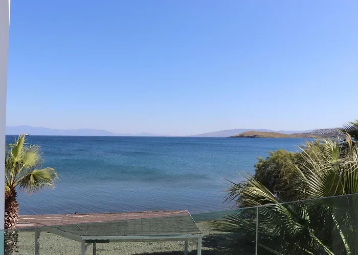 Zest Exclusive & 3* Ортакент