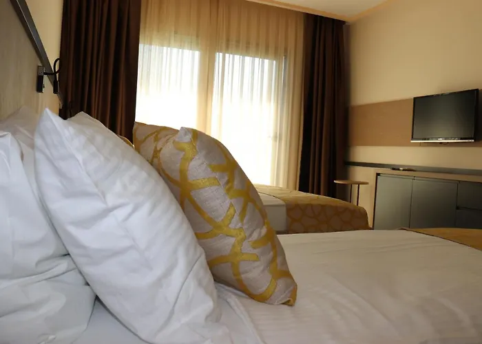 Zest Exclusive & Ортакент