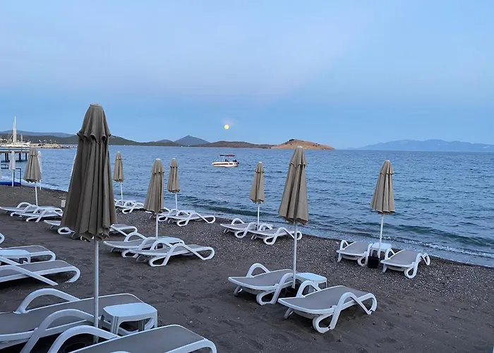 Zest Exclusive & Отель 3*